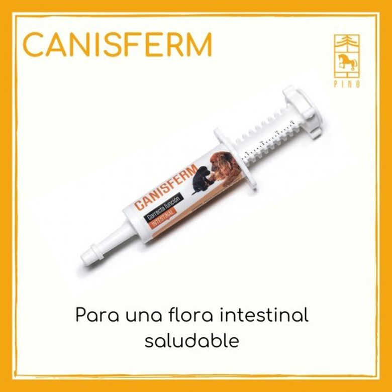 Laboratorios Pino Canisferm Para Mejorar La Flora Intestinal en perros thumbnail