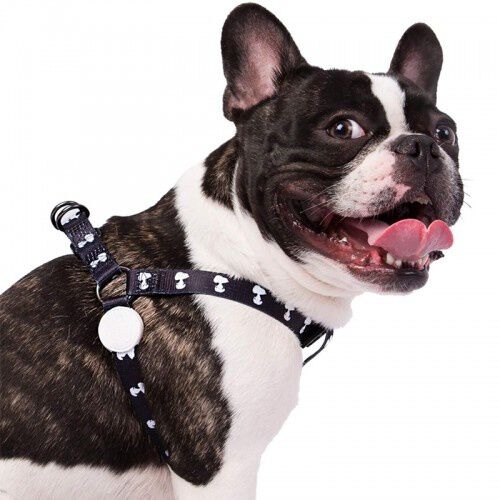 Zooz arn&eacute;s snoopy negro para perros, , large Imagen numero 1