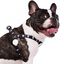 Zooz arn&eacute;s snoopy negro para perros, , large indicador imagen numero 1
