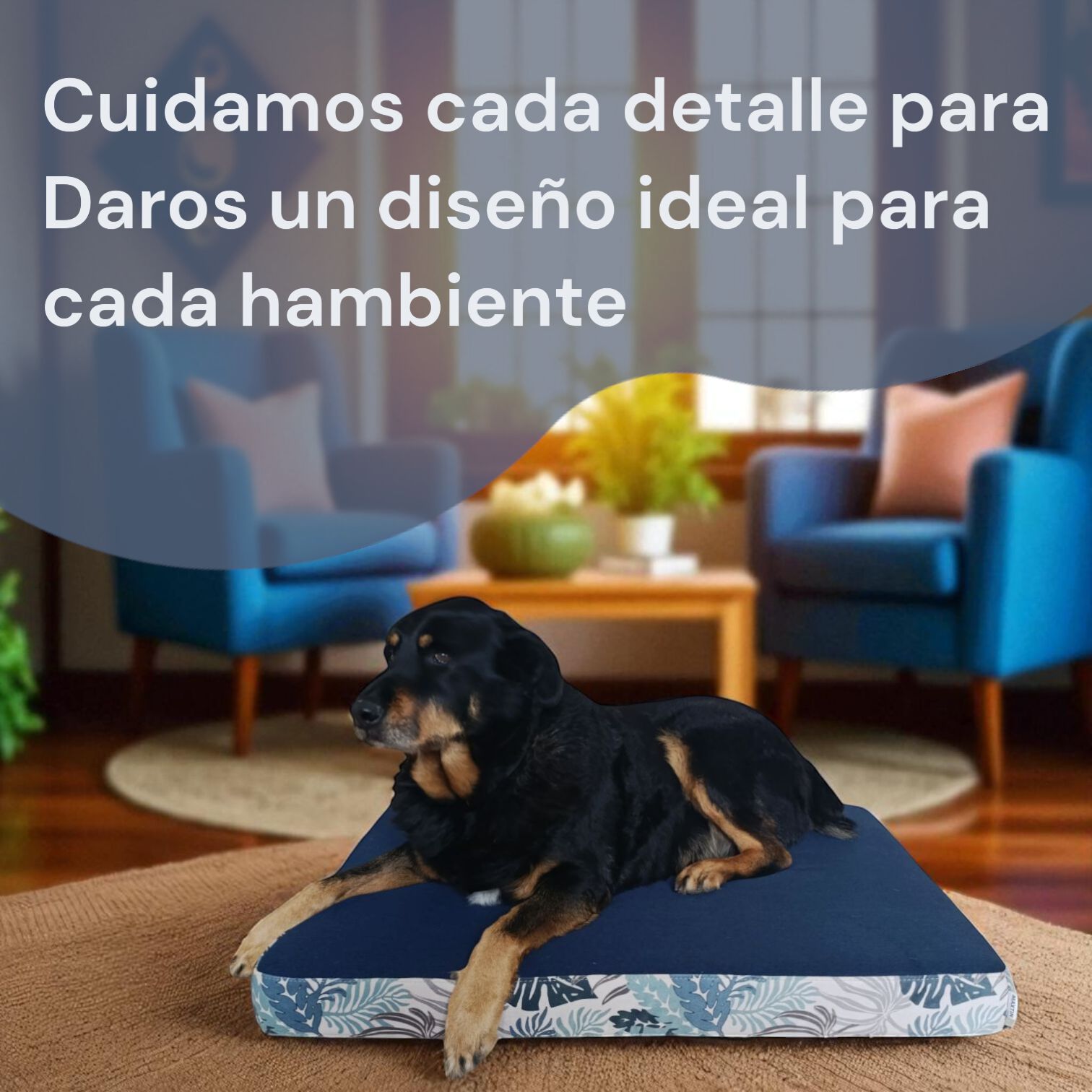 CAMA LULU AZUL Talla L, , large Imagen numero 5
