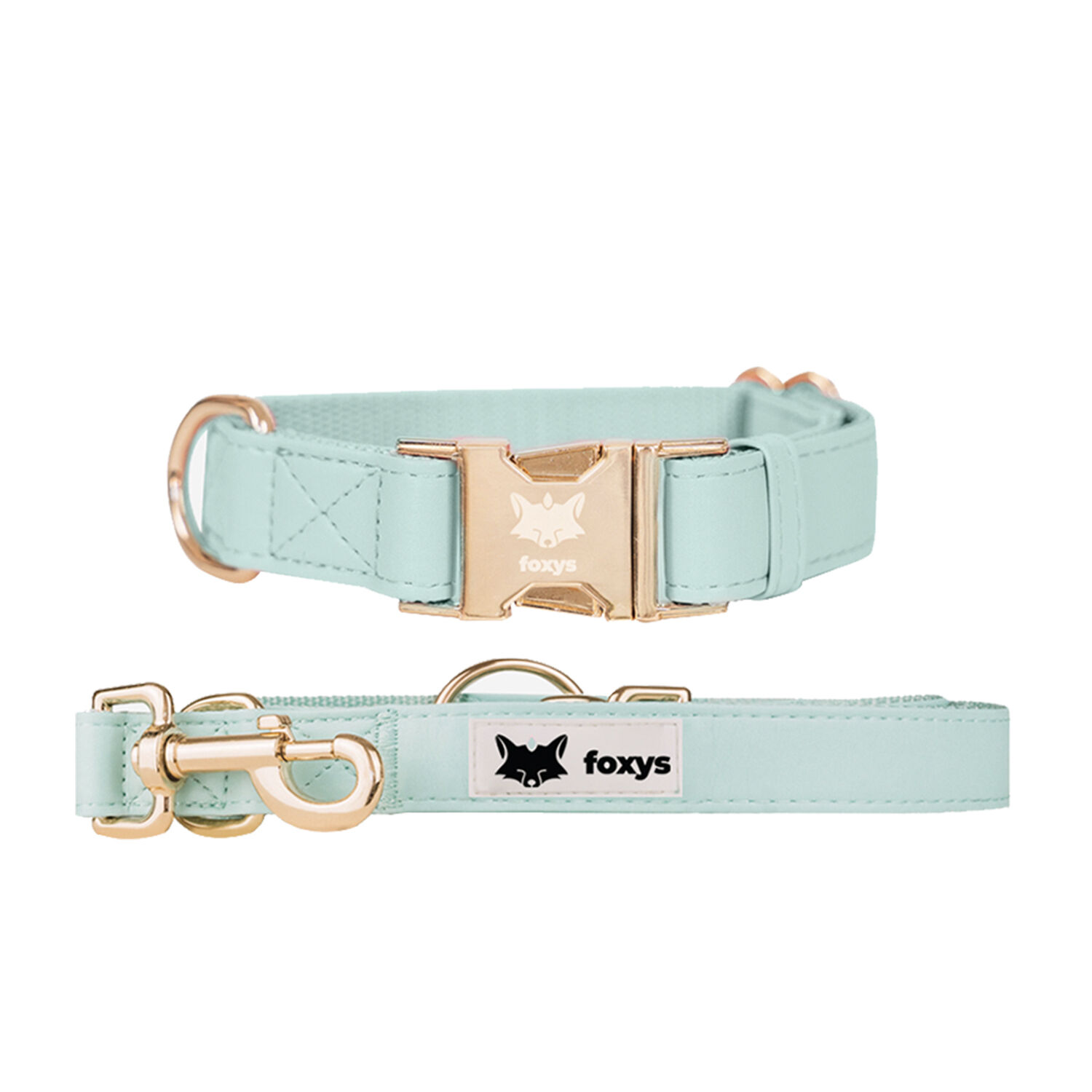 Foxys CityFox Kit Collar y Correa Aqua para perros