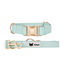 CITYFOX™ KIT COLLAR Y CORREA COLOR AQUA PARA PERROS, , large indicador imagen numero 1