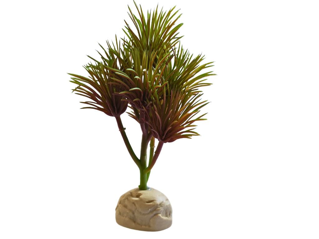 Reptilhábitat Planta Kleinia De Decoración Para Terrarios thumbnail