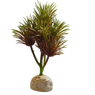 Reptilhábitat Planta Kleinia De Decoración Para Terrarios