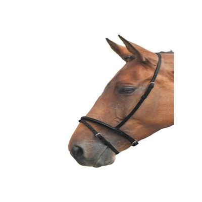 Blenheim Cabezada Doble de Cuero Negro para caballos jaca