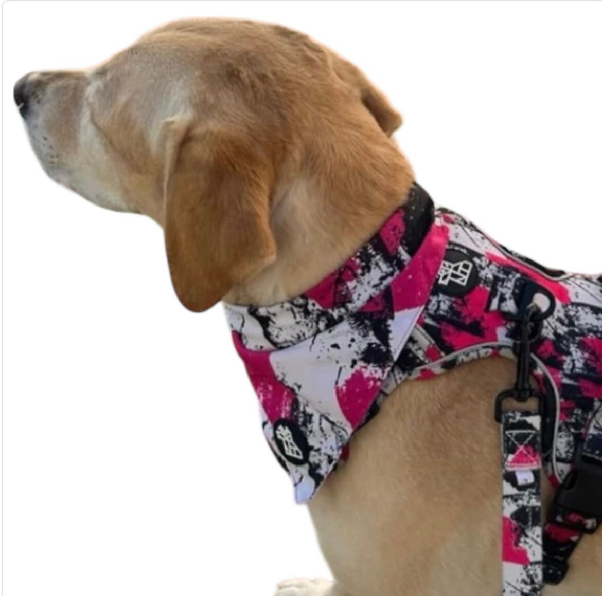 BANDANA FRENCHTOUTOU GRAFFITI TALLA L, , large Imagen numero 3