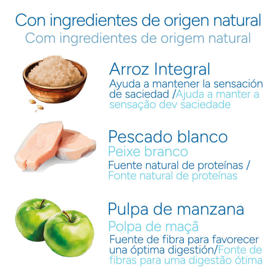 Criadores Cient&iacute;fico Adulto Esterilizado Pescado Blanco pienso para gatos, , large Imagen numero 5