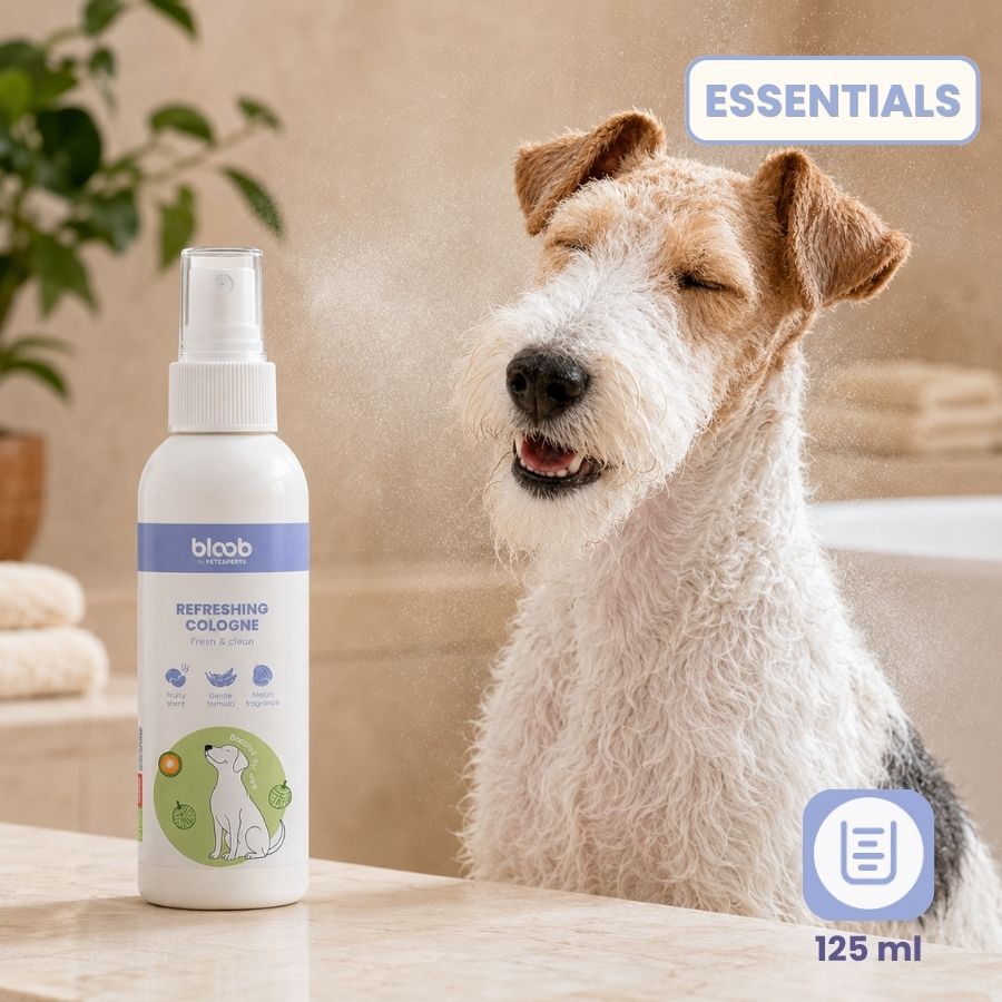 Bloob Colonia Refrescante Mel&oacute;n para perros, , large Imagen numero 7