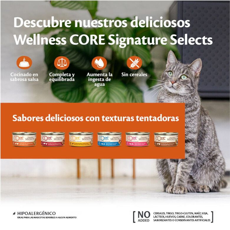Wellness Core Shredded pollo y pavo lata para gatos thumbnail