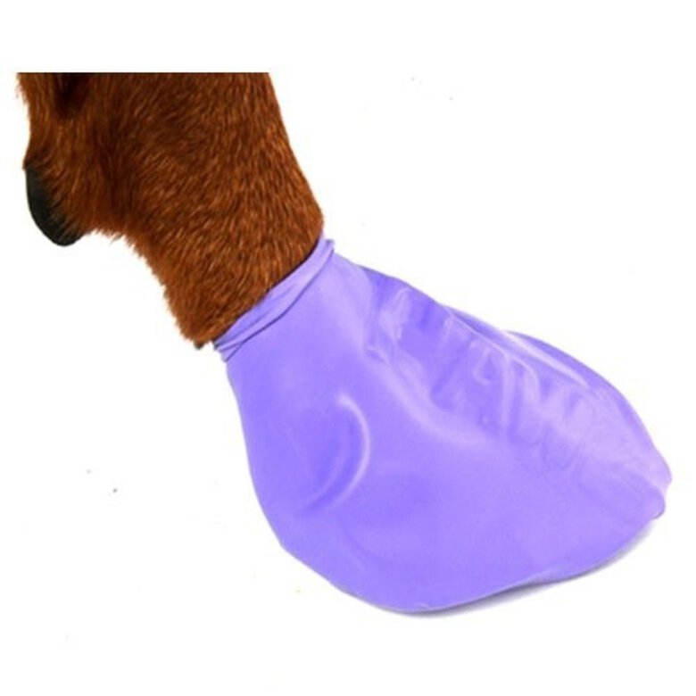 Botas de caucho natural Pawz para perros color Morado, , large image number null