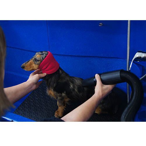 Ibañez Banda Protectora Grande thumbnail