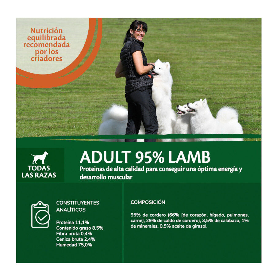 Wellness Core Cordero con Calabaza lata para perros thumbnail