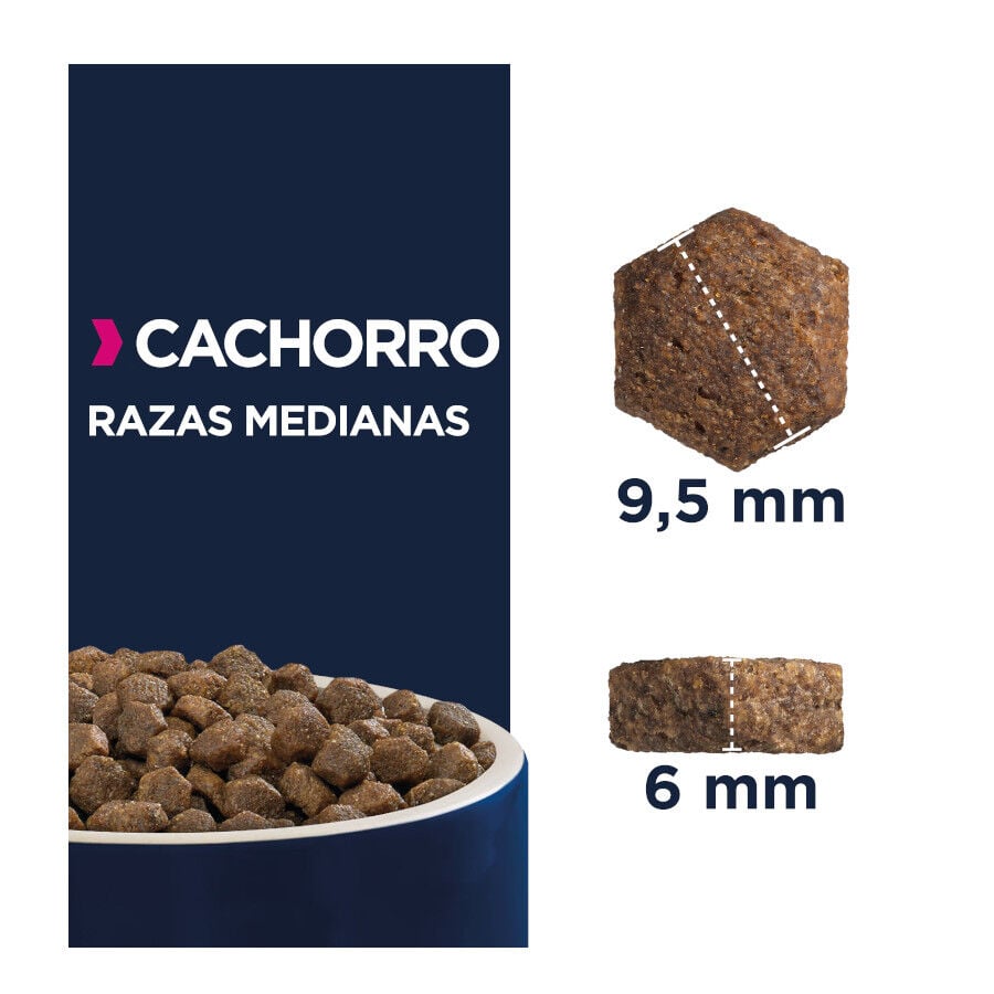 Eukanuba Puppy Medium Pollo pienso para perros thumbnail