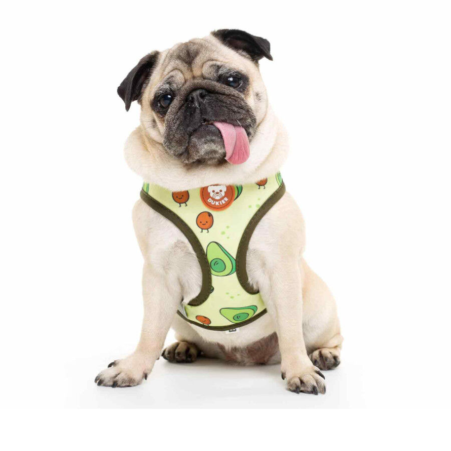Dukier Avocado Arn&eacute;s Reversible Estampado Aguacate para perros, , large Imagen numero 2