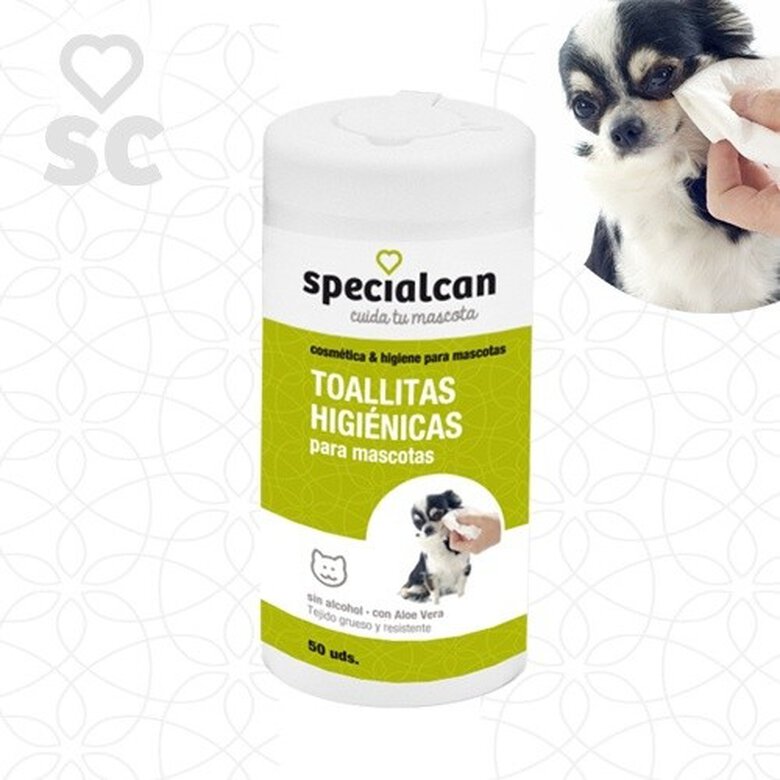 Toallitas higiénicas para mascotas olor Neutro, , large image number null