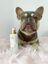 DOUDOU Champú Bubble Charm para perro, , large indicador imagen numero 2