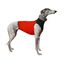 Galguita amelie peto de licra rojo y negro para galgos y podencos, , large indicador imagen numero 1
