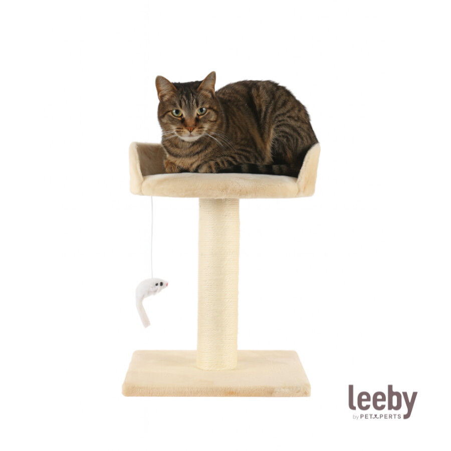 Leeby Tigrou rascador con cama y juguete beige para gatos, , large Imagen numero 2
