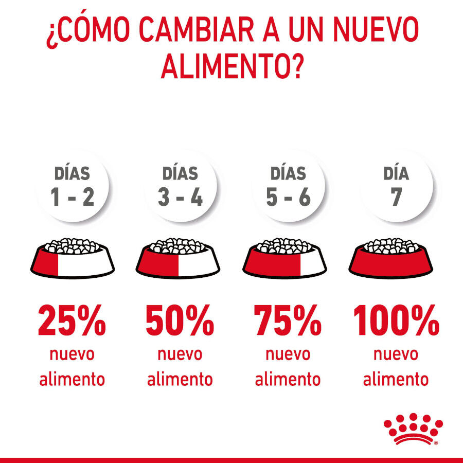 Royal Canin Intense Hairball pienso para gatos thumbnail