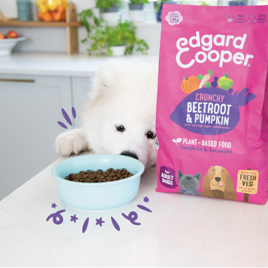 Edgard &amp; Cooper Remolacha y Calabaza pienso para perros thumbnail