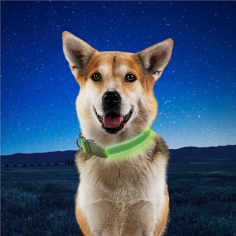 Nite Ize NiteDog Collar Led Recargable Verde para perros thumbnail
