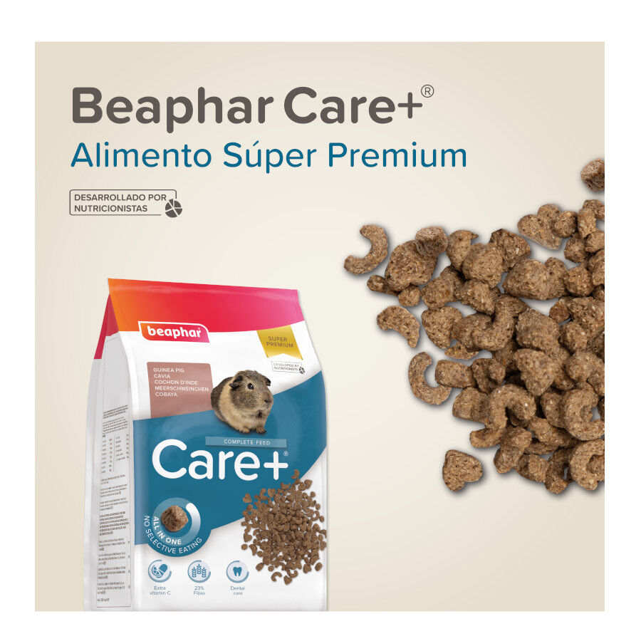 Beaphar Care + Pienso para cobayas, , large Imagen numero 8
