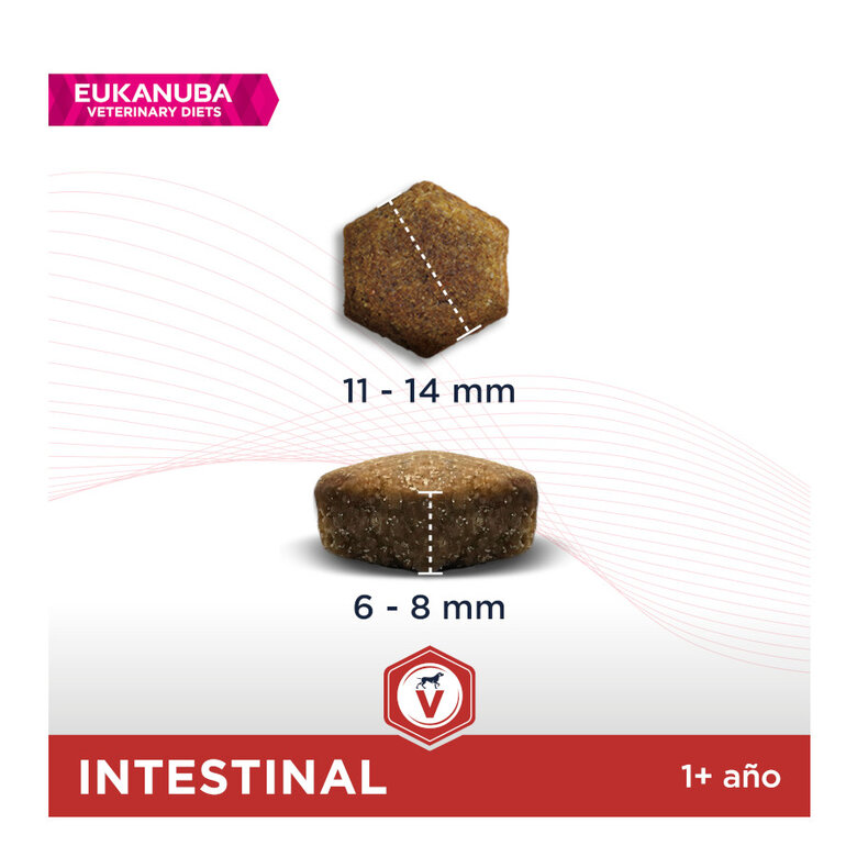 Eukanuba Veterinary Diets Intestinal pienso para perros, , large image number null