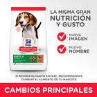 pienso_perros_hills_puppy_medium_cachorro_cordero_cambios_HIL7696M_M.jpg image number null