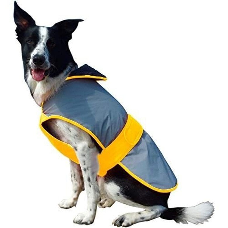 Abrigo para paseos modelo Mercury para perros color Amarillo, , large image number null