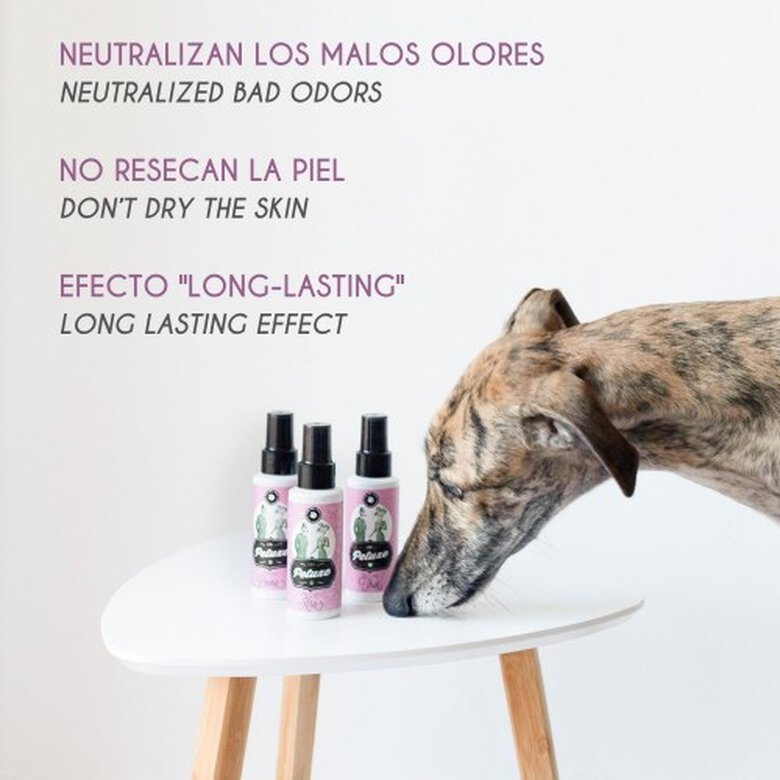 Petuxe layka perfume sin alcohol para mascotas, , large image number null