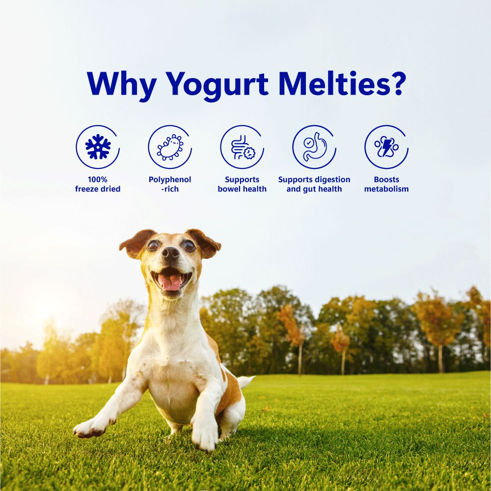 Golosinas prebi&oacute;ticas y probi&oacute;ticas para perros: ar&aacute;ndanos y yogur (38 g/1,34 oz), , large Imagen numero 5