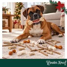Wonder Christmas Caja Regalo Cuero Prensado Snacks para perros