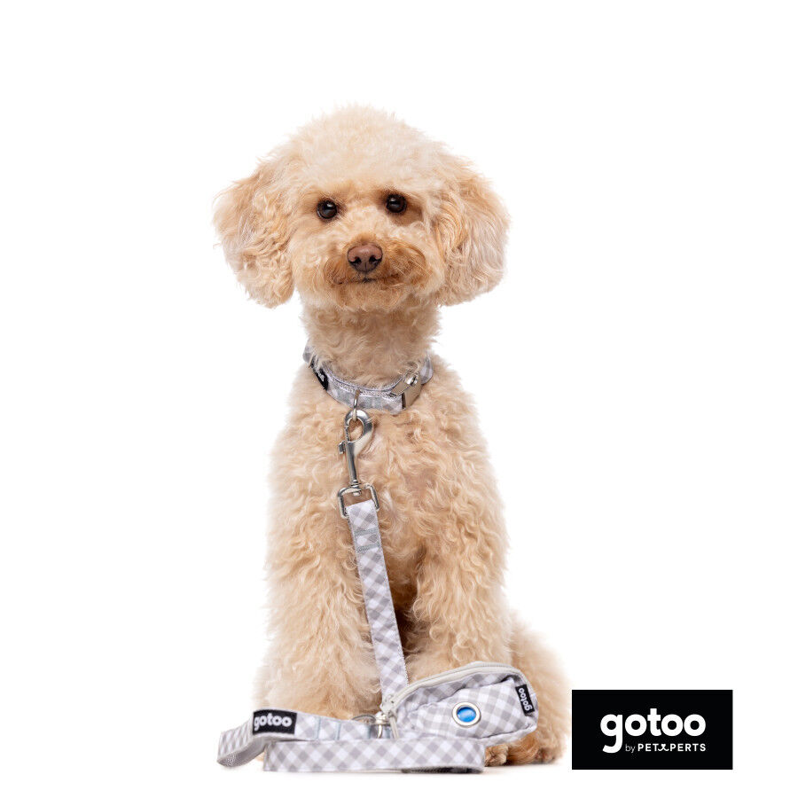 Gotoo Correa estampada cuadro vichy gris para perros, , large Imagen numero 3