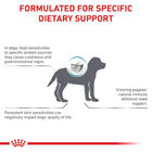 Royal Canin Veterinary Hypoallergenic pienso para cachorros, , large image number null