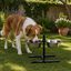 Leeby Comedero Doble Ajustable de  Acero Inoxidable para perros, , large indicador imagen numero 1
