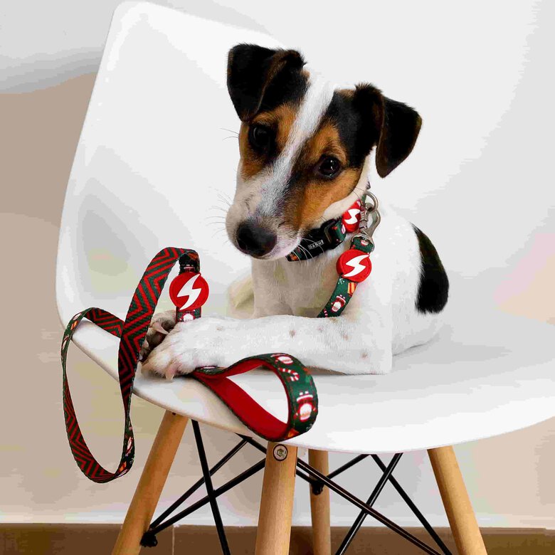 Collar Noel para perros color Varios, , large image number null