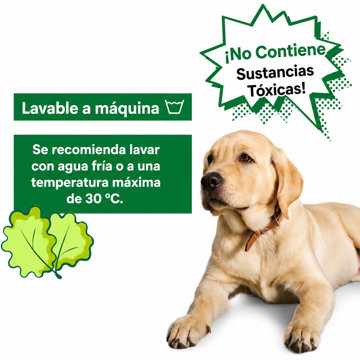 Juguete Interactivo para Perros con Compartimentos para Premios y Estimulaci&oacute;n Mental, , large Imagen numero 3