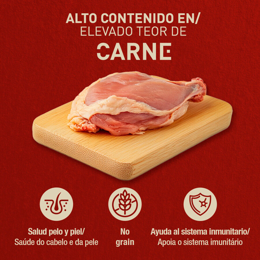 Catxtreme Pavo en paté lata para gatos thumbnail