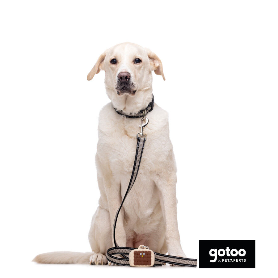 Gotoo Correa reflectante de malla gris para perro, , large Imagen numero 5