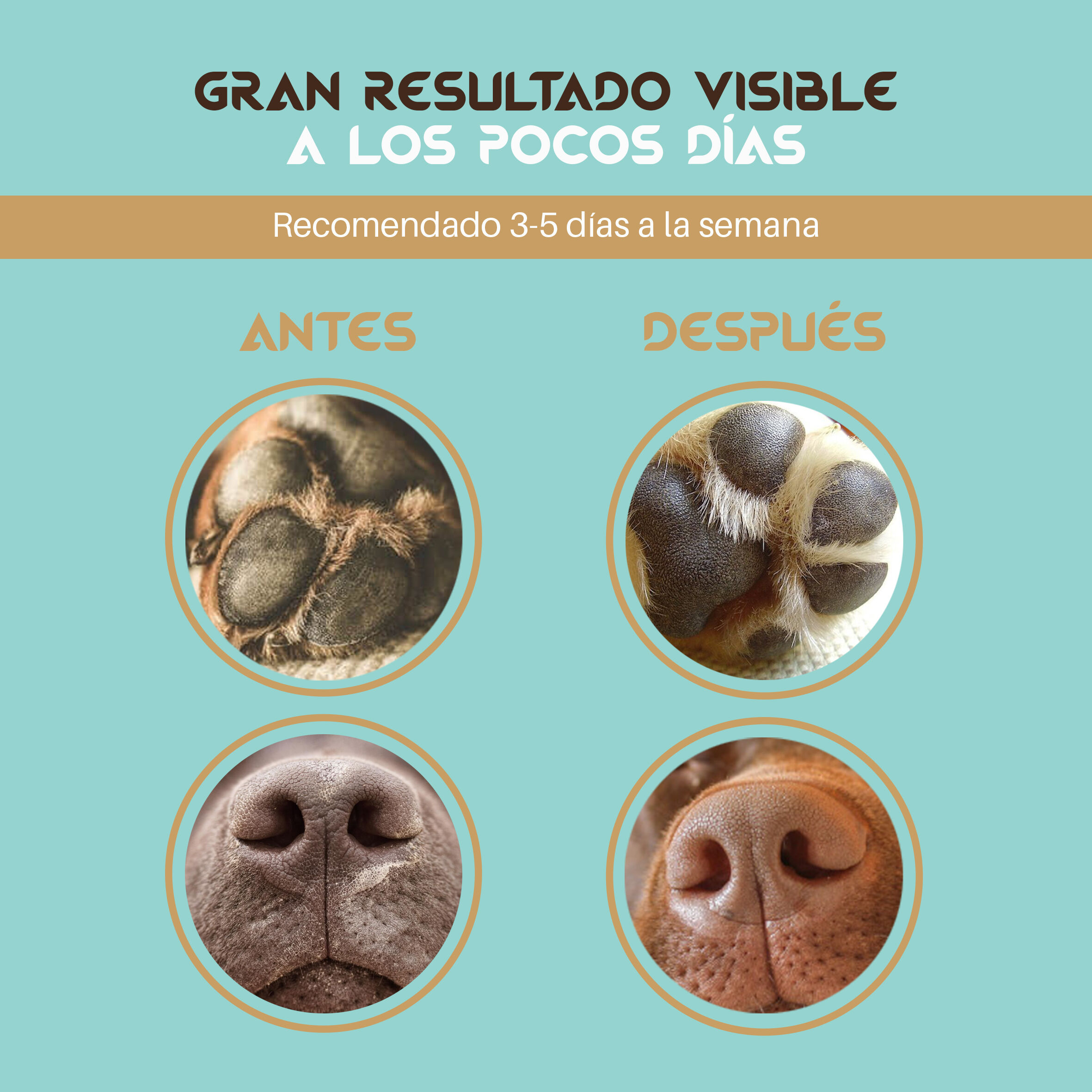 Togo AnimalCare | Balsamo Curativo Almohadillas, Nariz de Perros y Gatos, , large Imagen numero 3