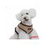 Arnés Soft para perros color Beige, , large indicador imagen numero 1