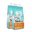 2 x 8 L Sanicat Arena Aglomerante Vainilla y Mandarina ¡Pack ahorro!, , large indicador imagen numero 1
