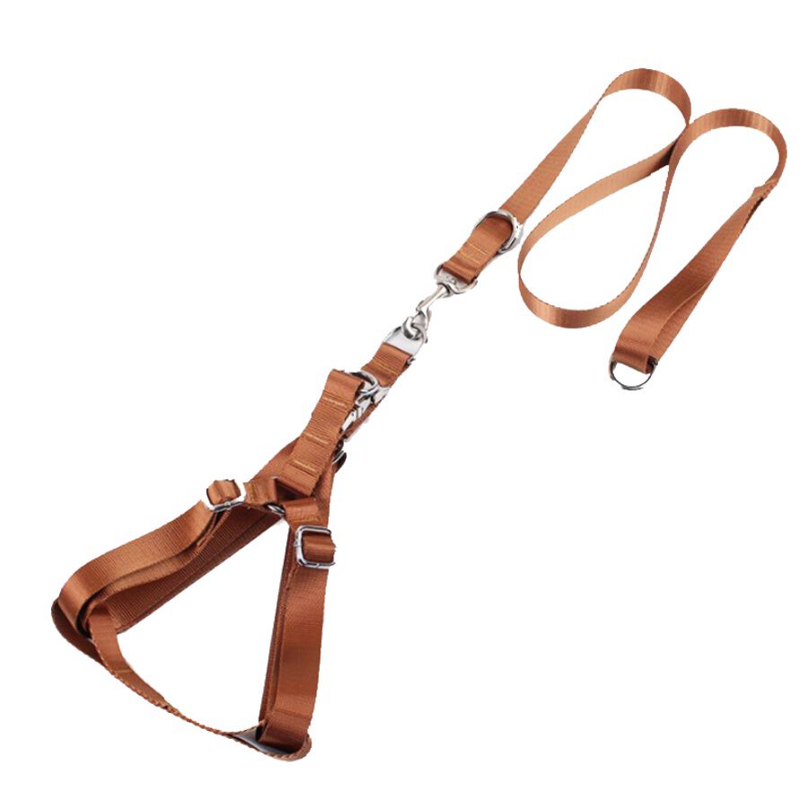 Arn&eacute;s + Correa para mascotas estilo militar, , large Imagen numero 1