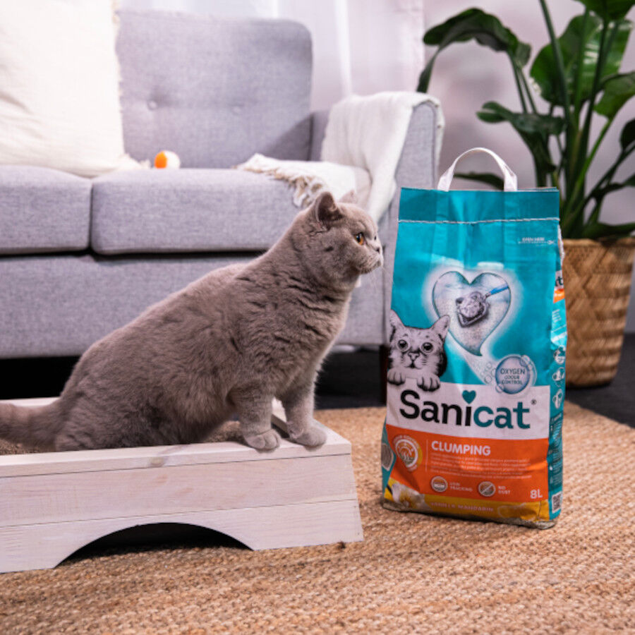 Sanicat Arena Aglomerante Vainilla y Mandarina thumbnail