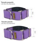 Collar Martingale para perros color Lila, , large image number null