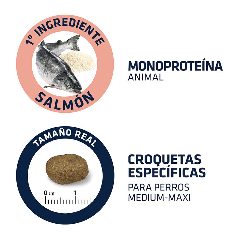 pienso_perros_affinity_advance_sensitive_salmon_arroz_tamano_croqueta_ADV524319_M.jpg image number null