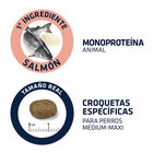 pienso_perros_affinity_advance_sensitive_salmon_arroz_tamano_croqueta_ADV524319_M.jpg image number null