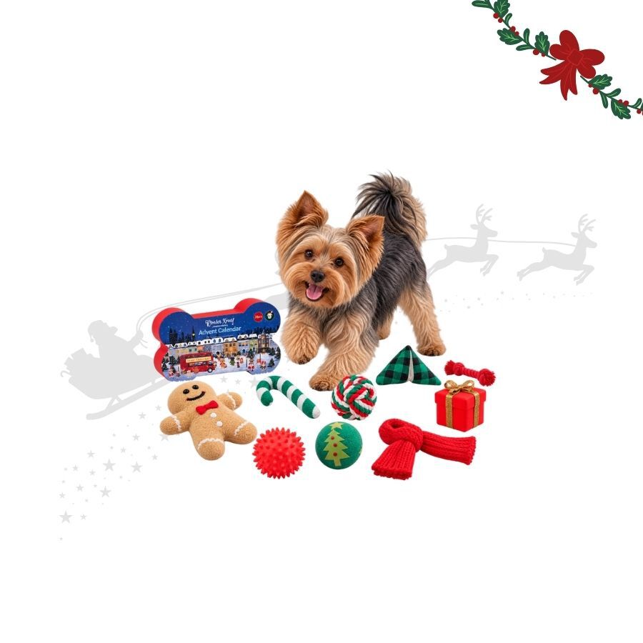 Wonder Christmas Calendario Adviento Premium Juguete para perros, , large Imagen numero 1