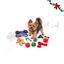 Wonder Christmas Calendario Adviento Premium Juguete para perros, , large indicador imagen numero 1