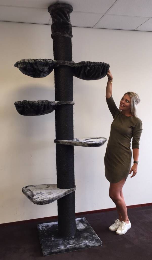 Rascador Maine Coon Tower Plus para gatos color Negro, , large Imagen numero 2